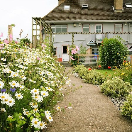 Eagle Heights Bed and Breakfast Enniscrone Eksteriør billede