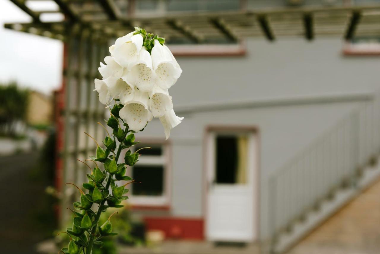Eagle Heights Bed and Breakfast Enniscrone Eksteriør billede